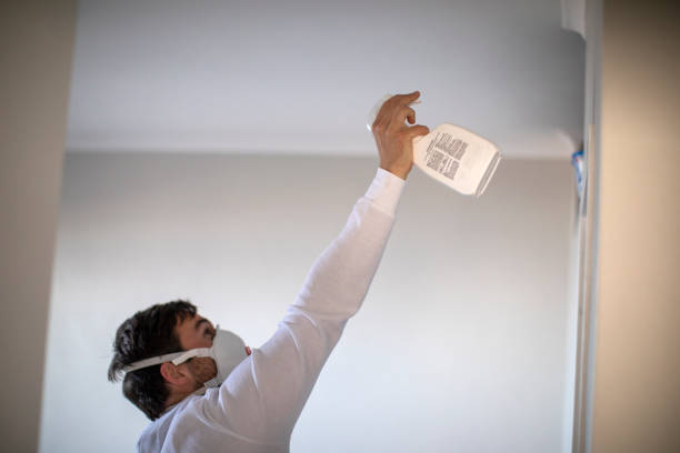 Best Professional Mold Removal  in Fruitdale, CA