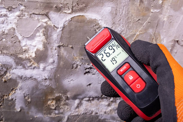 Best Mold Damage Repair  in Fruitdale, CA