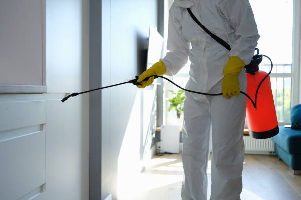 Certified Mold Removal in Fruitdale, CA