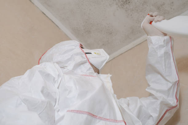 Best Mold Testing  in Fruitdale, CA