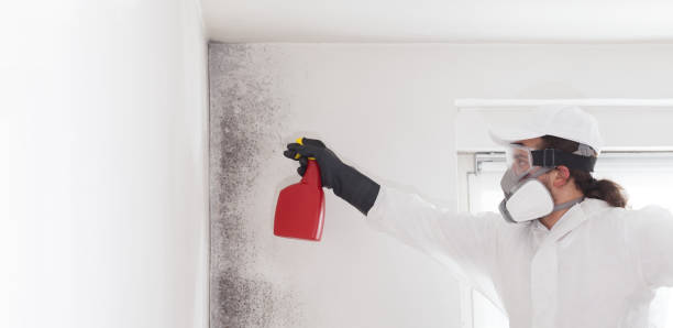 Best Crawl Space Mold Removal  in Fruitdale, CA